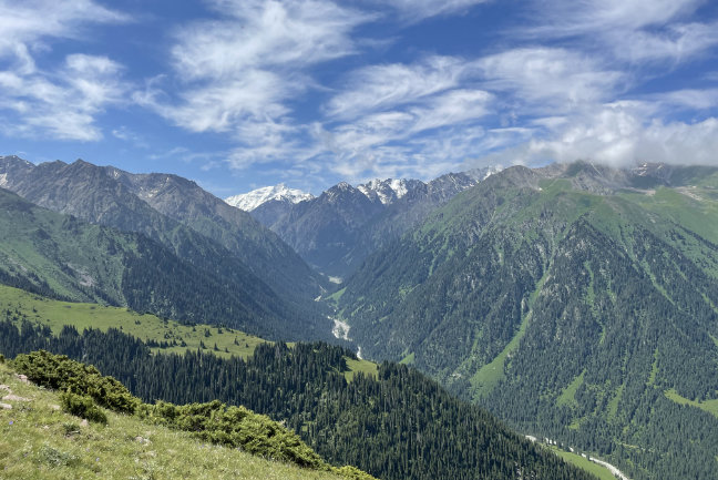 Kyrgyzstan: Walks & Wildflowers