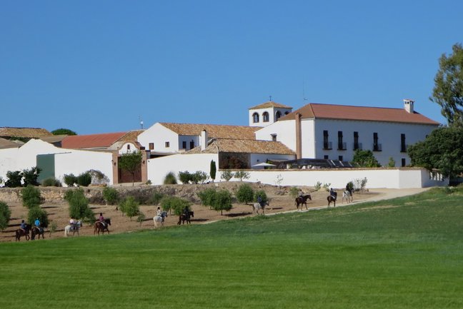 Luxury Horse Riding Malaga 