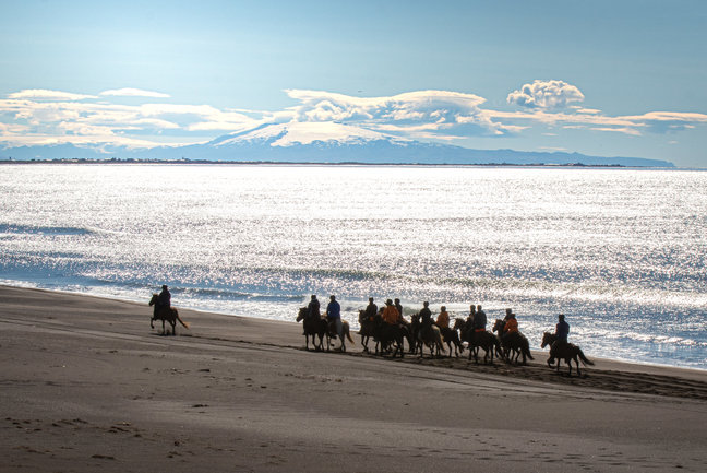 Horse Riding Holiday in Iceland 