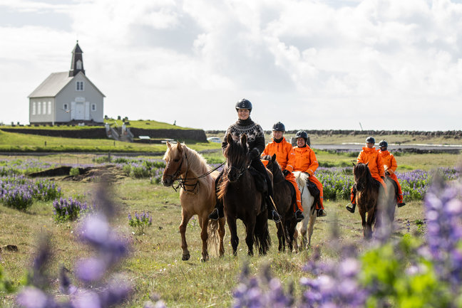 Horse Riding Holiday in Iceland 