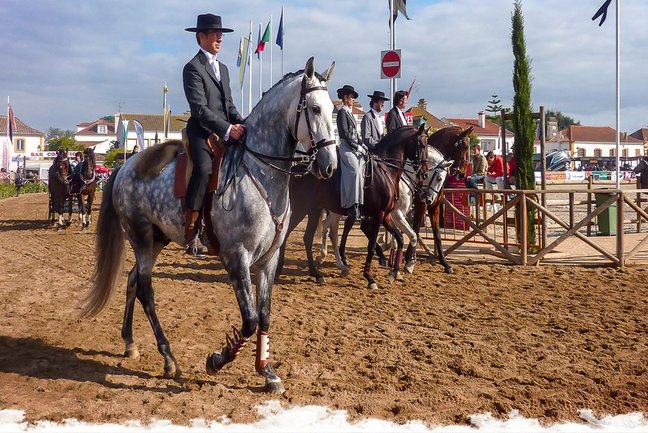 Golegã Horse Fair and Ride